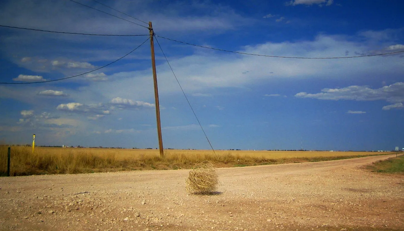 Tumbleweed rolling across a dusty road